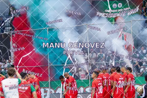 Prévia marcada MG_20261017_0198