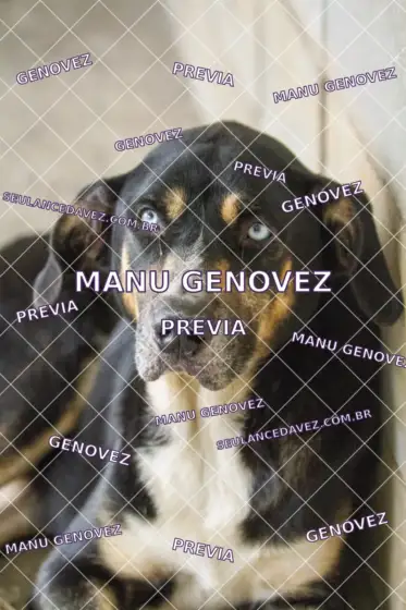 Prévia marcada MG_20261019_0030