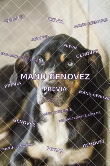 Prévia marcada MG_20261019_0031